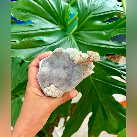 Whale carving on Amethyst flower - Picture 4 of 8